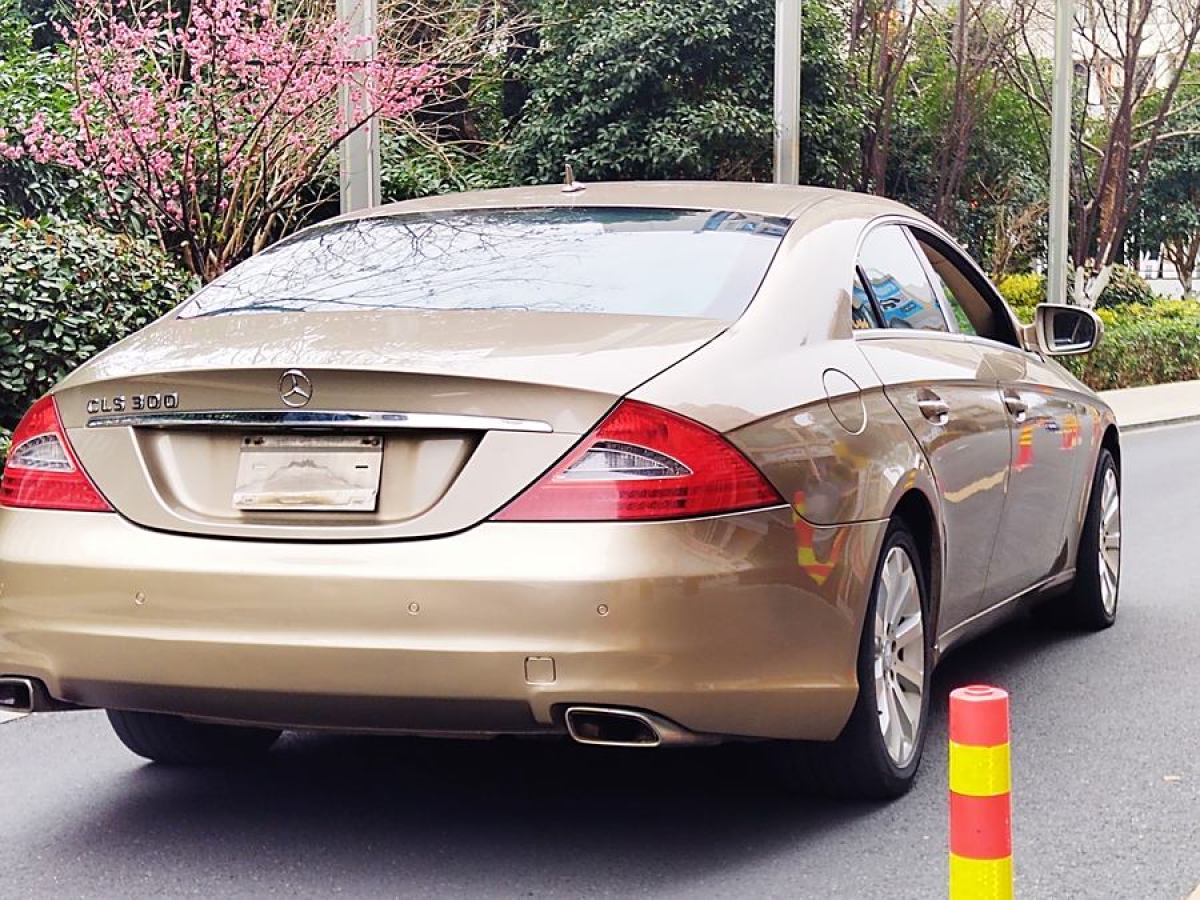 奔馳 奔馳CLS級  2009款 CLS 300圖片