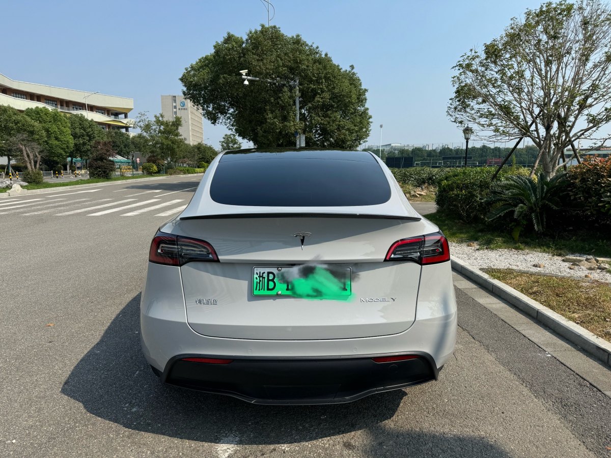 特斯拉 Model Y  2020款 改款 長續(xù)航后輪驅動版圖片