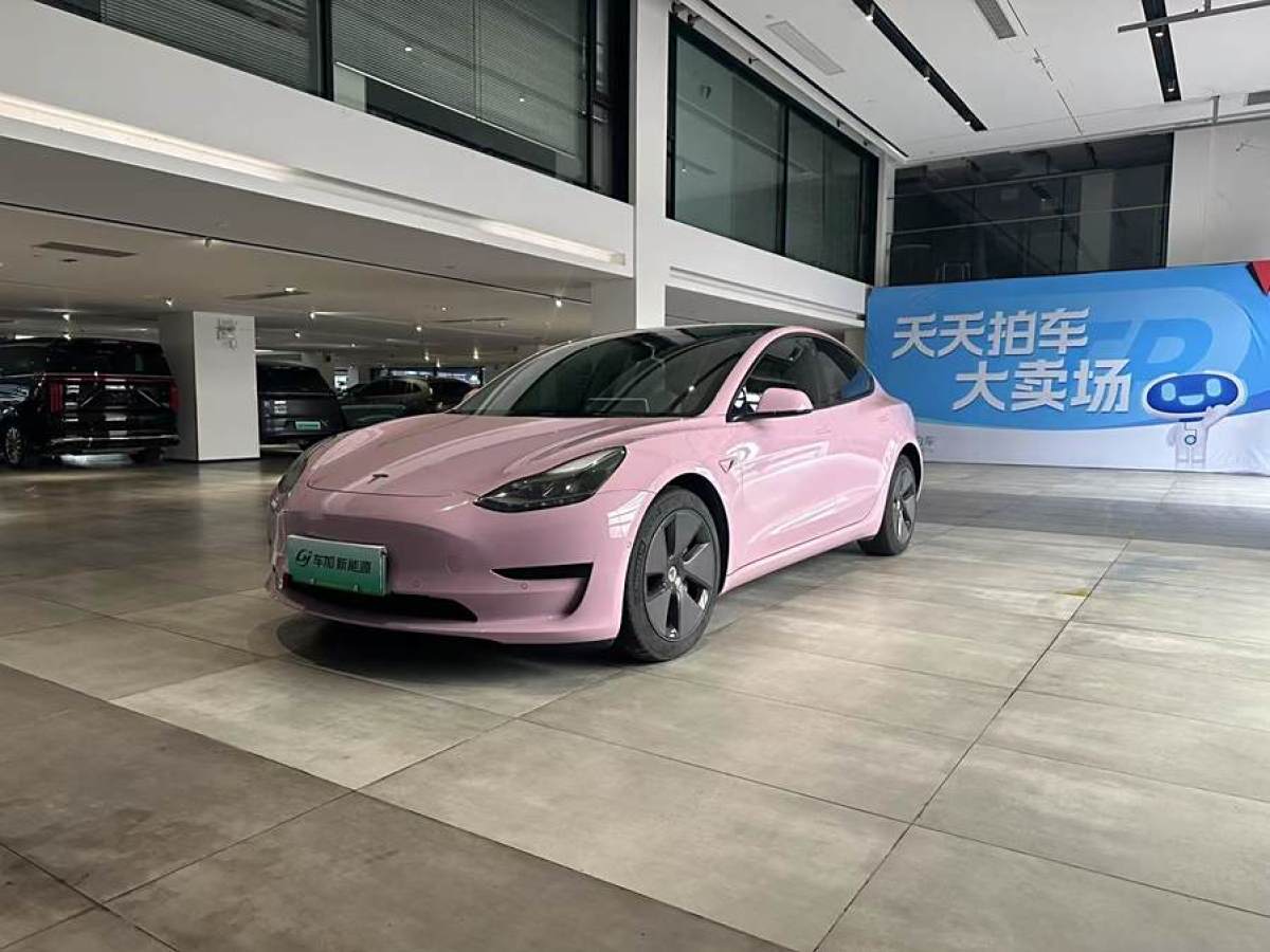 2021年12月特斯拉 Model 3  2021款 標(biāo)準(zhǔn)續(xù)航后驅(qū)升級(jí)版 3D6