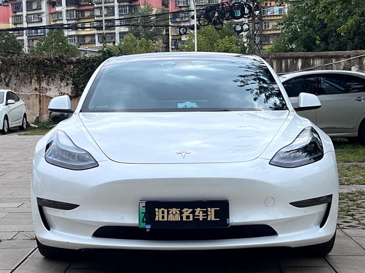 2023年3月特斯拉 Model 3  2022款 Performance高性能全輪驅(qū)動(dòng)版