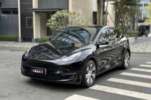 Model Y 特斯拉 改款 标准续航后驱升级版