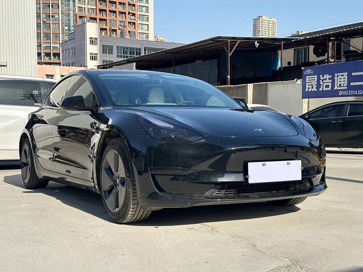 特斯拉 Model 3  2021款 標(biāo)準(zhǔn)續(xù)航后驅(qū)升級(jí)版 3D6圖片