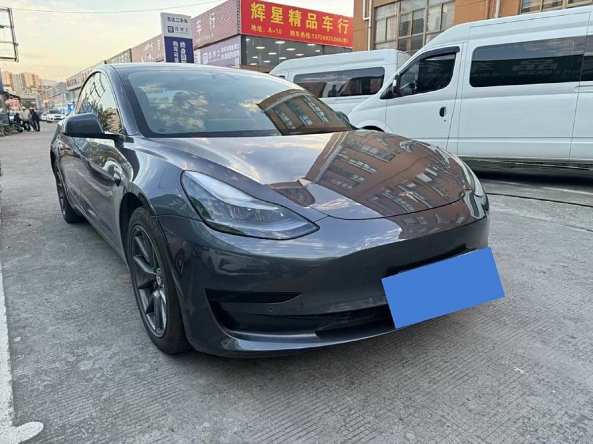 特斯拉 Model 3  2021款 改款 標(biāo)準(zhǔn)續(xù)航后驅(qū)升級(jí)版圖片