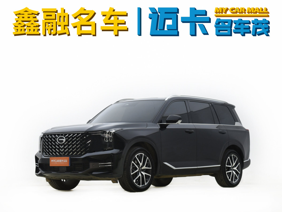 廣汽傳祺 GS8  2024款 領(lǐng)航系列 2.0TGDI 兩驅(qū)豪華智聯(lián)版圖片