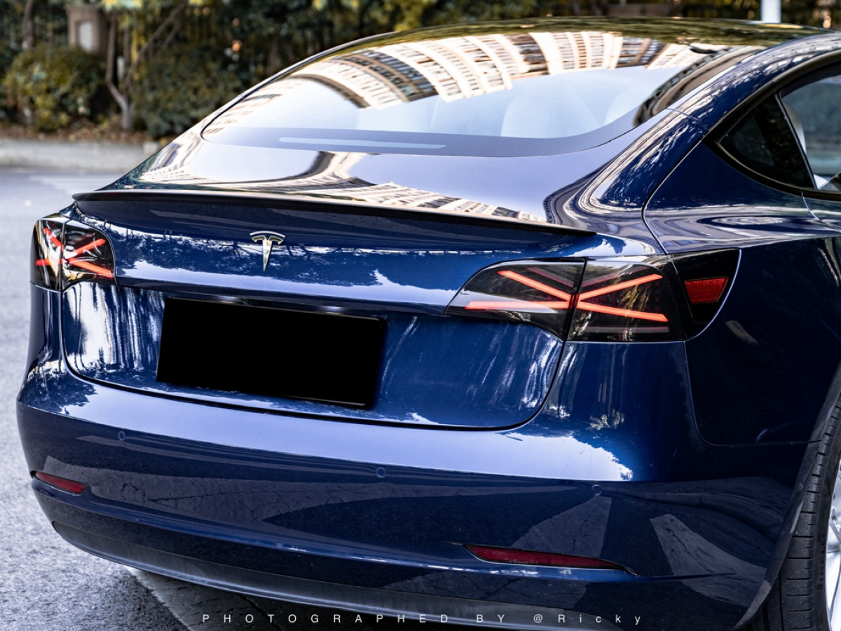 特斯拉 Model 3  2021款 Performance高性能全轮驱动版图片