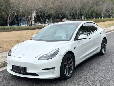 特斯拉 Model 3 Performance高性能全輪驅(qū)動(dòng)版圖片