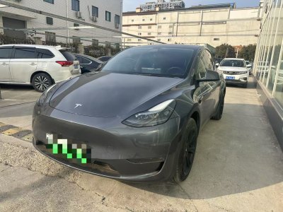 2022年1月 特斯拉 Model Y 長續(xù)航全輪驅(qū)動版 3D7圖片