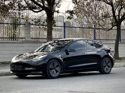 2022年3月 特斯拉 Model 3 后輪驅(qū)動版圖片