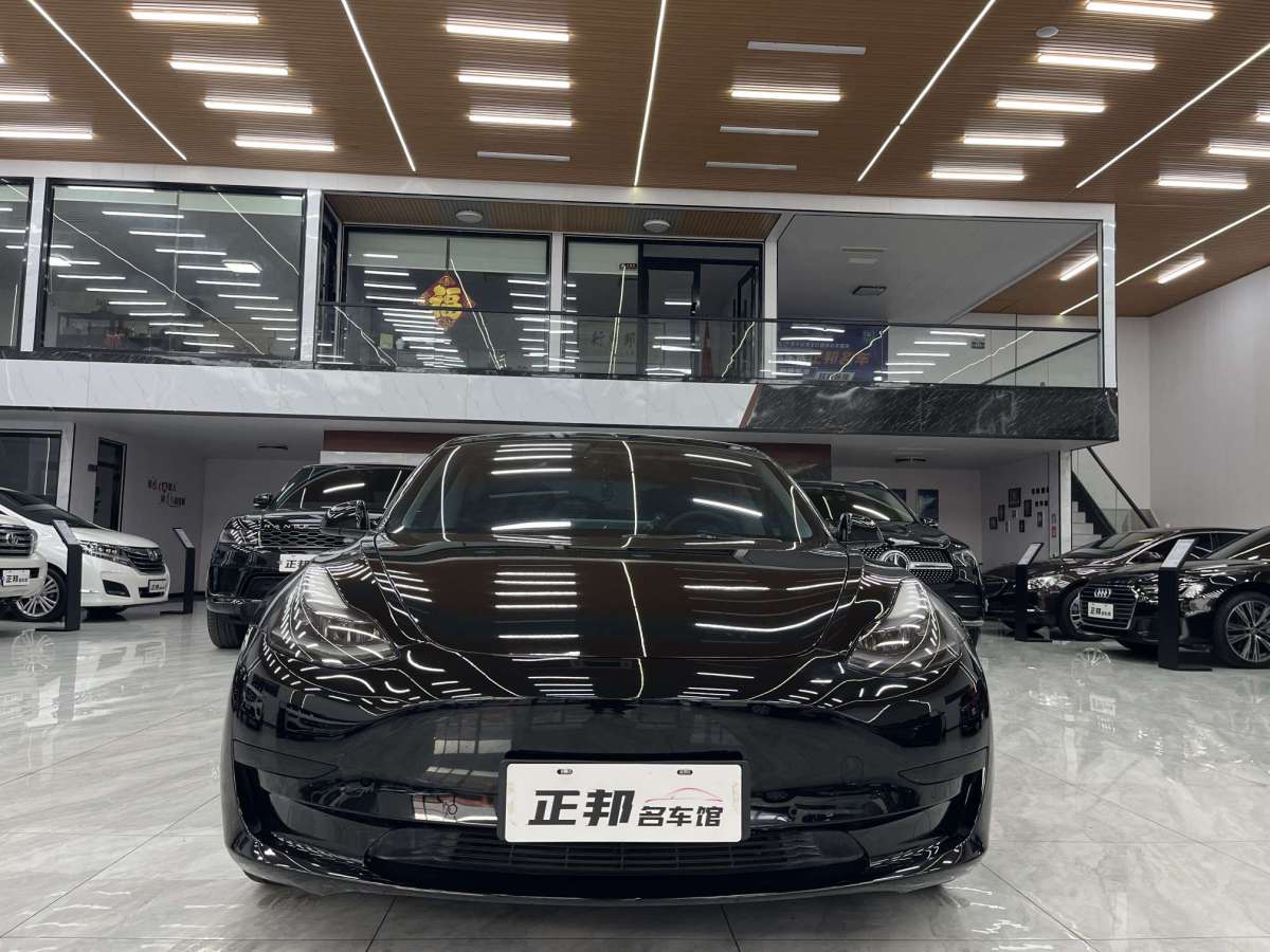 特斯拉 Model 3  2021款 標(biāo)準(zhǔn)續(xù)航后驅(qū)升級(jí)版圖片