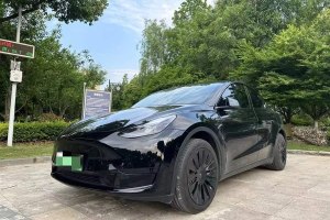 Model Y 特斯拉 改款 后輪驅(qū)動(dòng)版