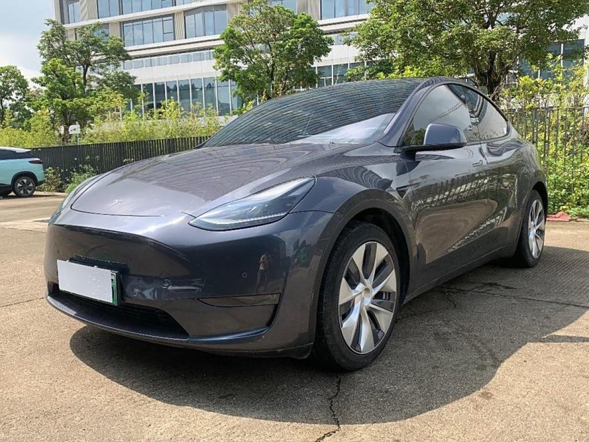 特斯拉 Model Y  2021款 改款 長續(xù)航全輪驅(qū)動(dòng)版圖片