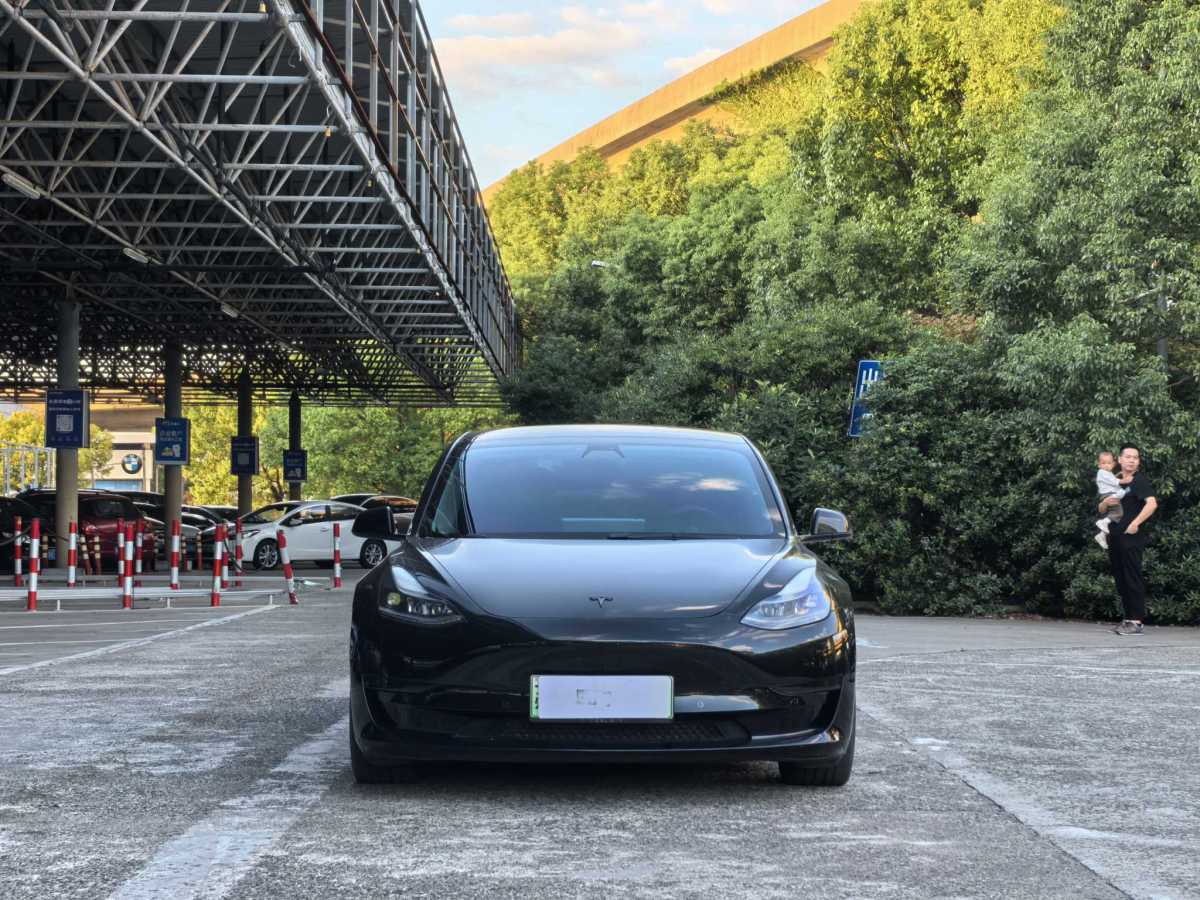 2021年3月特斯拉 Model 3  2019款 Performance高性能全輪驅(qū)動(dòng)版