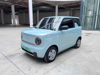 2024年4月 吉利 熊貓mini 200km 耐力熊圖片