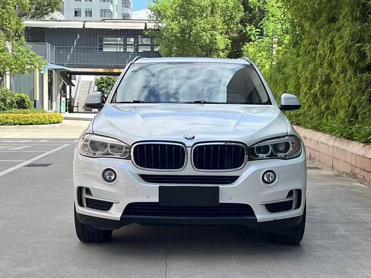 寶馬 寶馬X5  2014款 xDrive35i 領(lǐng)先型圖片