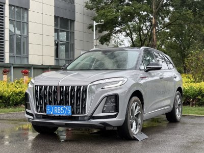 2023年7月 紅旗 紅旗HS3 2.0T 四驅(qū)有為版圖片