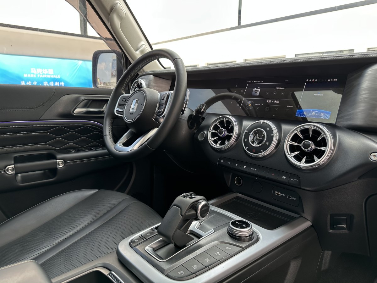 坦克 坦克300  2021款 城市版 2.0T 很有型圖片