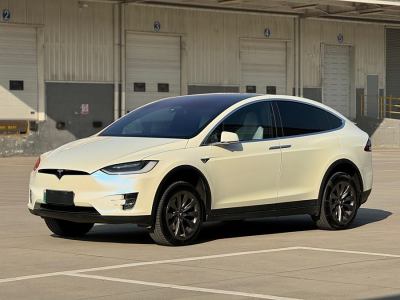 2017年10月 特斯拉 Model X Model X 100D 長續(xù)航版圖片