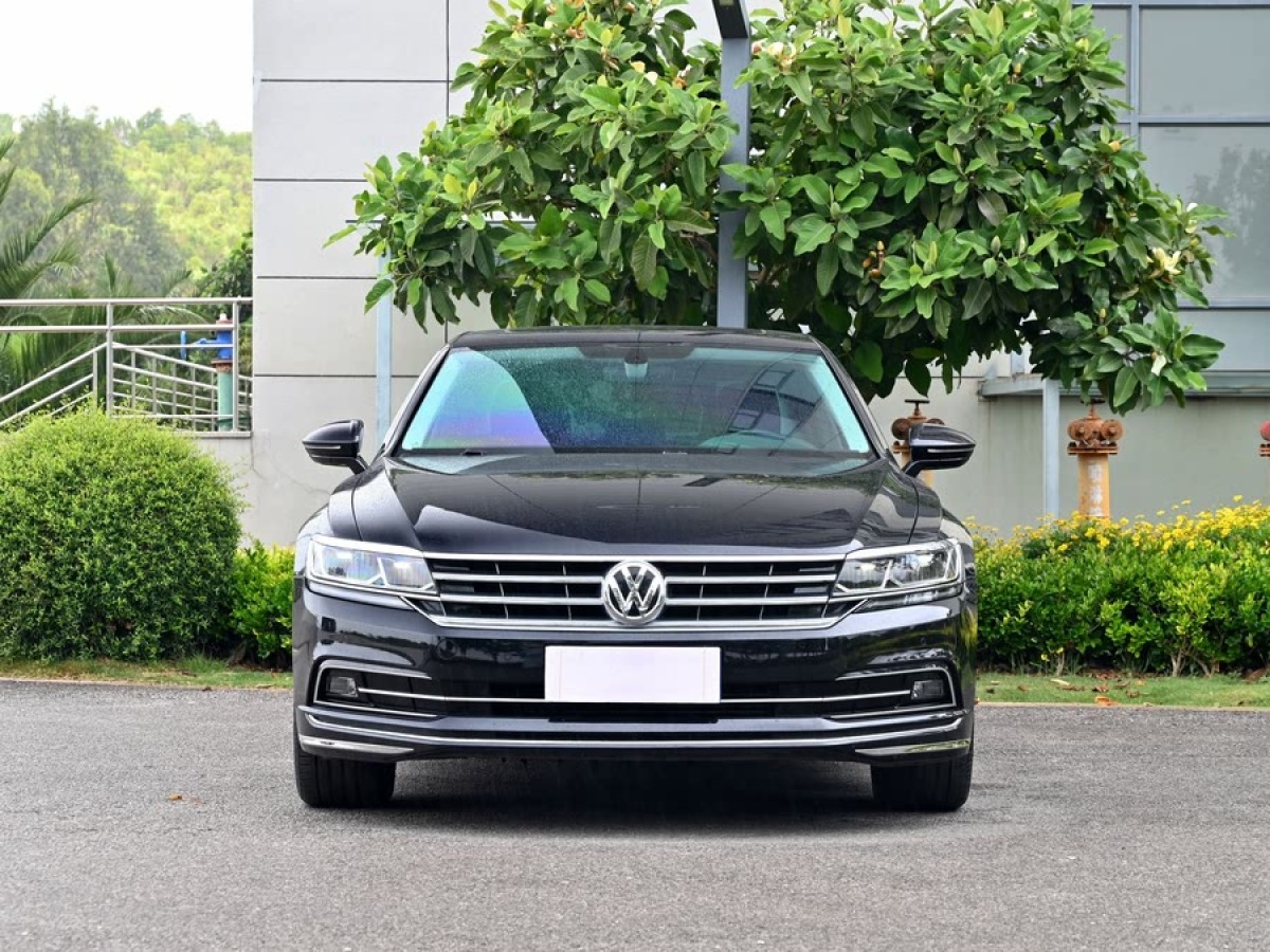 大眾 輝昂  2018款 改款 380TSI 兩驅(qū)商務(wù)版圖片