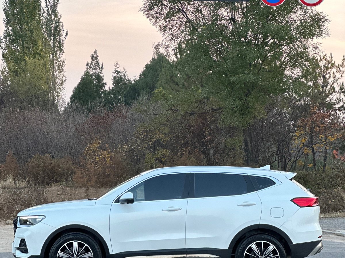 哈弗 H6  2023款 國潮版 1.5T 自動冠軍版圖片