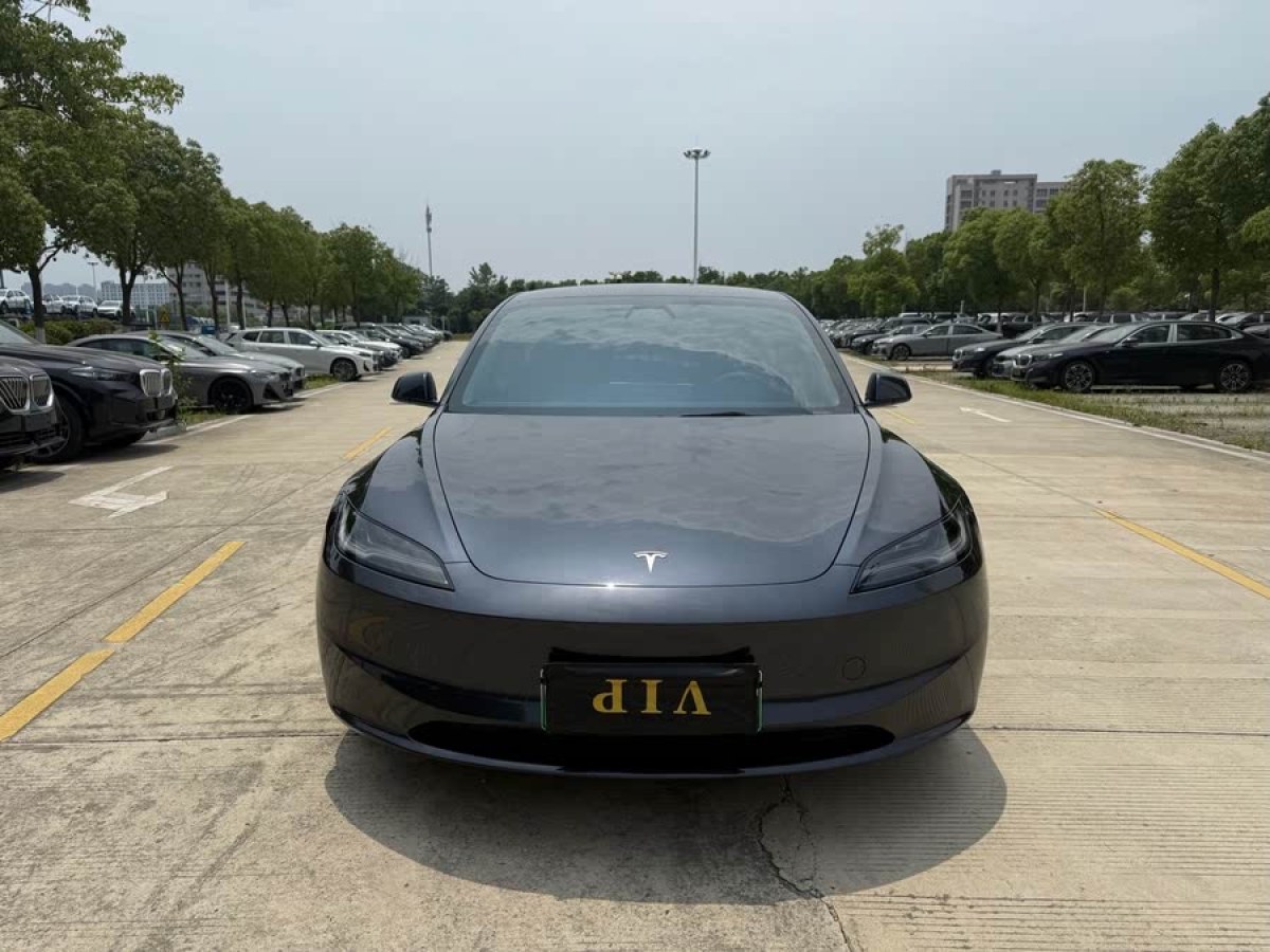 特斯拉 Model 3  2019款 長續(xù)航全輪驅(qū)動版圖片