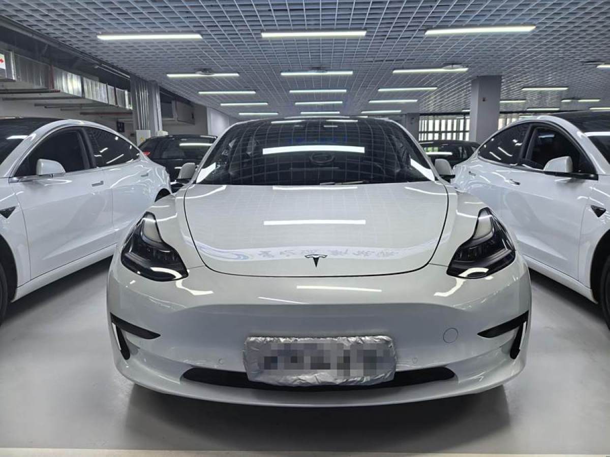 2021年6月特斯拉 Model 3  2021款 改款 標(biāo)準(zhǔn)續(xù)航后驅(qū)升級(jí)版