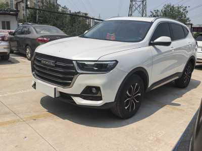 2021年5月 哈弗 H6 國潮版 1.5T 自動(dòng)冠軍版圖片