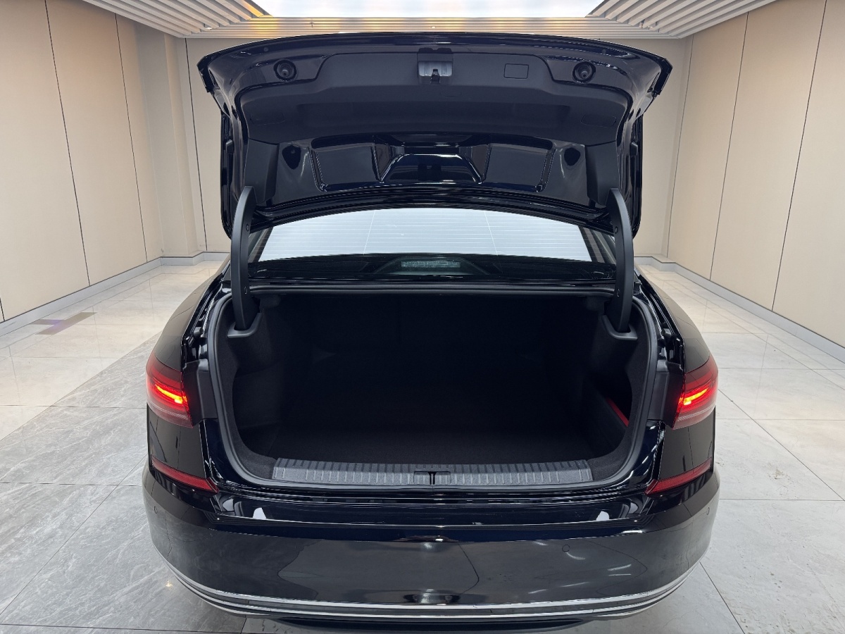 大眾 帕薩特  2024款 380TSI 星空精英版圖片