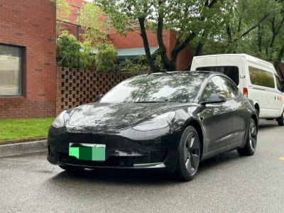 2021年7月 特斯拉 Model 3 標(biāo)準(zhǔn)續(xù)航后驅(qū)升級版 3D6圖片