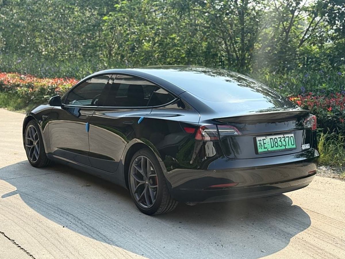 特斯拉 Model 3  2021款 Performance高性能全輪驅(qū)動(dòng)版圖片