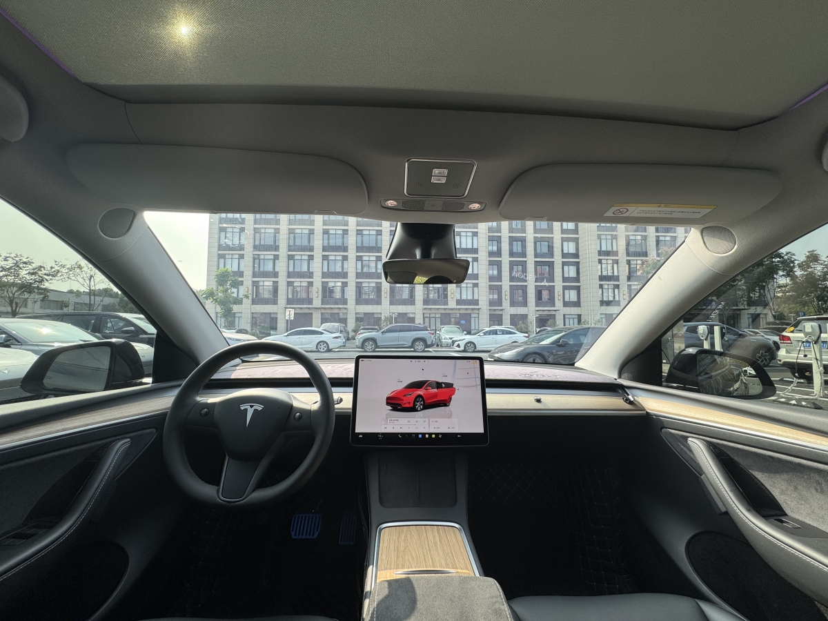 特斯拉 Model Y  2021款 改款 Performance高性能全輪驅(qū)動版圖片