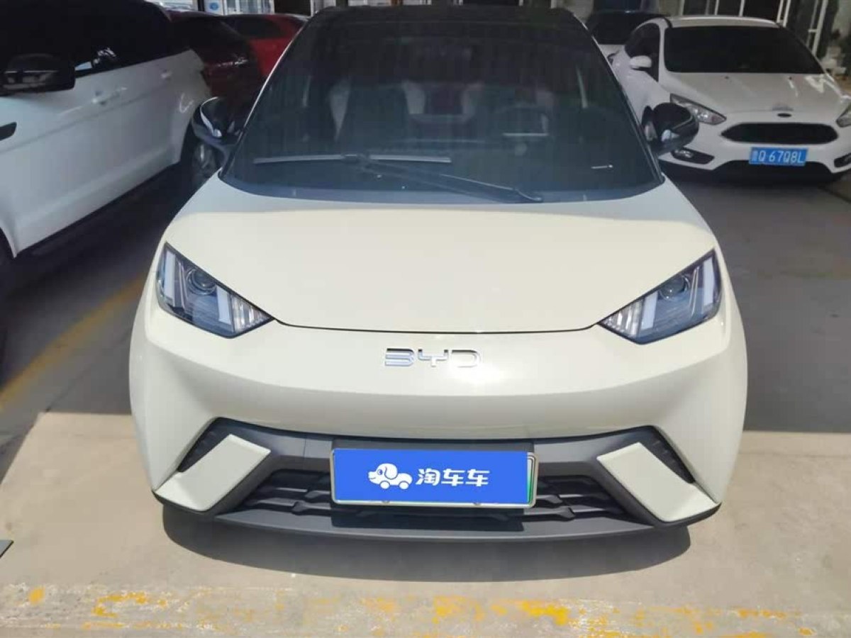 比亞迪 海鷗  2024款 榮耀版 305km 活力版圖片