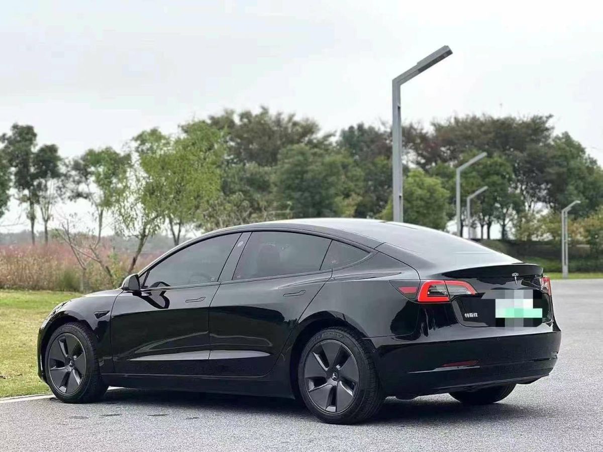 特斯拉 Model S  2023款 三電機(jī)全輪驅(qū)動(dòng) Plaid版圖片