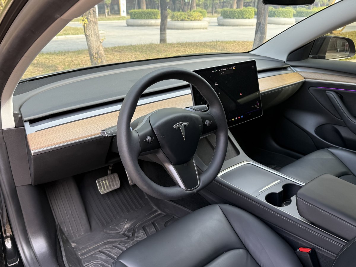 特斯拉 Model 3  2019款 標(biāo)準(zhǔn)續(xù)航后驅(qū)升級(jí)版圖片