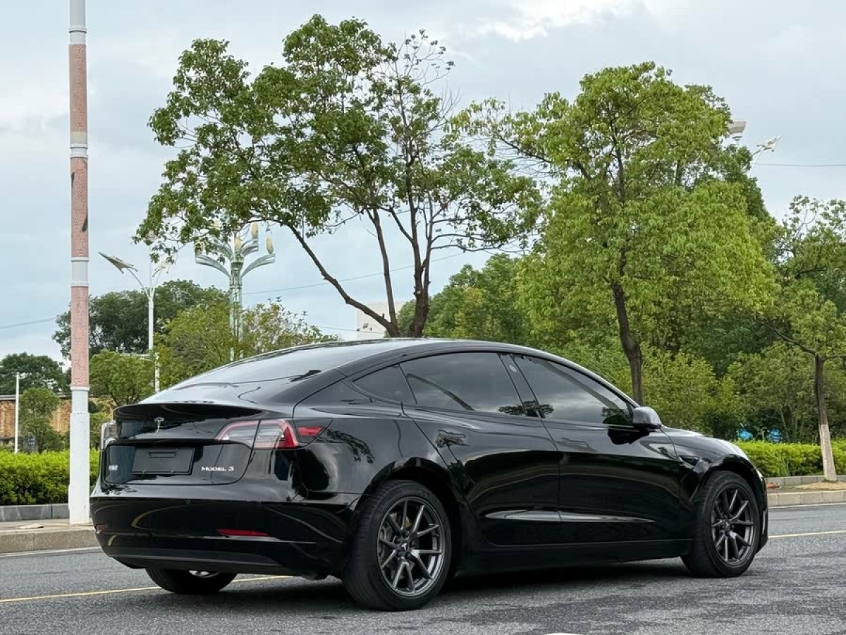 特斯拉 Model 3  2021款 標準續(xù)航后驅(qū)升級版 3D6圖片