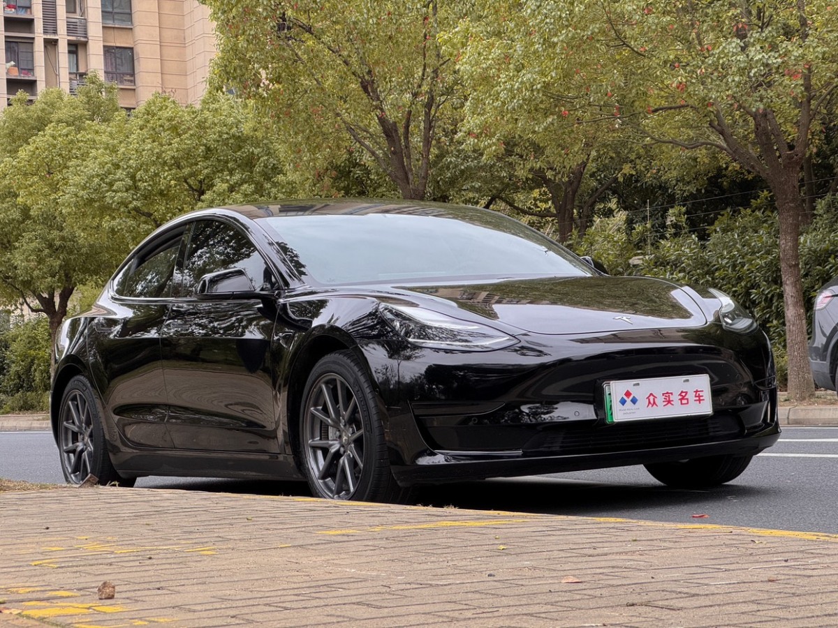 特斯拉 Model 3  2019款 標(biāo)準(zhǔn)續(xù)航后驅(qū)升級(jí)版圖片