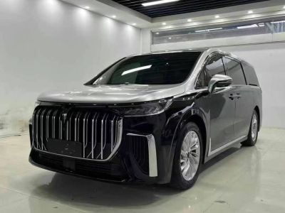 2023年11月 金冠 金冠奔馳V-Class 2.0T 巴赫?qǐng)D片