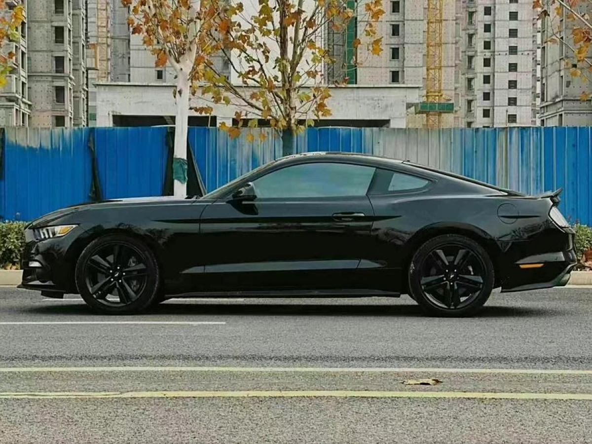 福特 Mustang  2015款 2.3T 性能版圖片