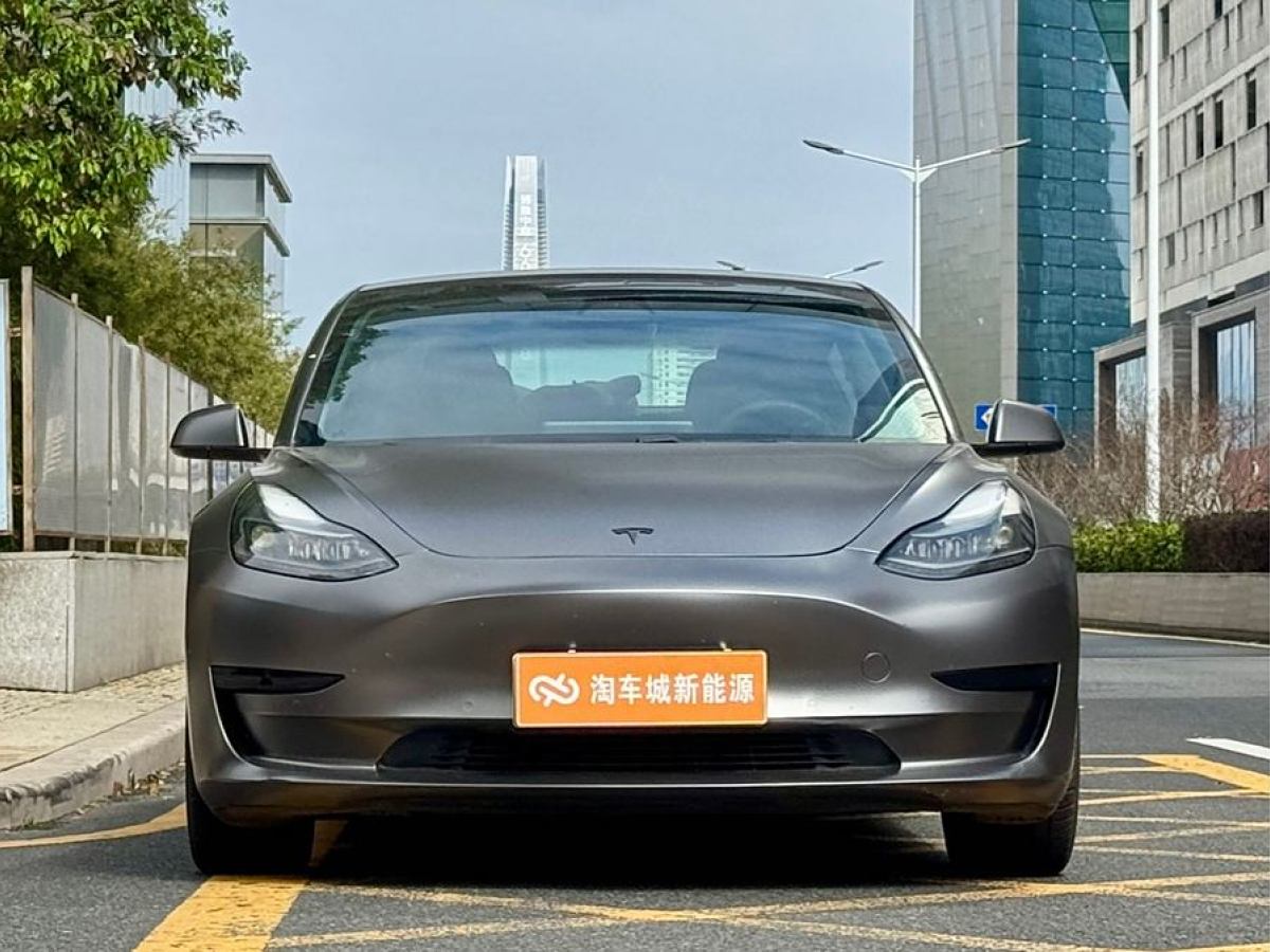 特斯拉 Model 3  2021款 改款 標(biāo)準(zhǔn)續(xù)航后驅(qū)升級(jí)版圖片