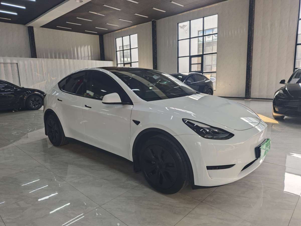 特斯拉 Model Y  2024款 后輪驅(qū)動版圖片