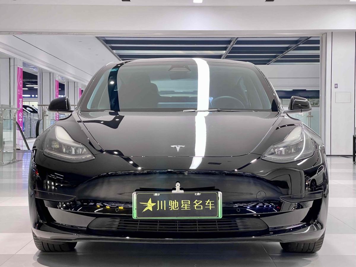 特斯拉 Model 3  2021款 標(biāo)準(zhǔn)續(xù)航后驅(qū)升級版 3D6圖片