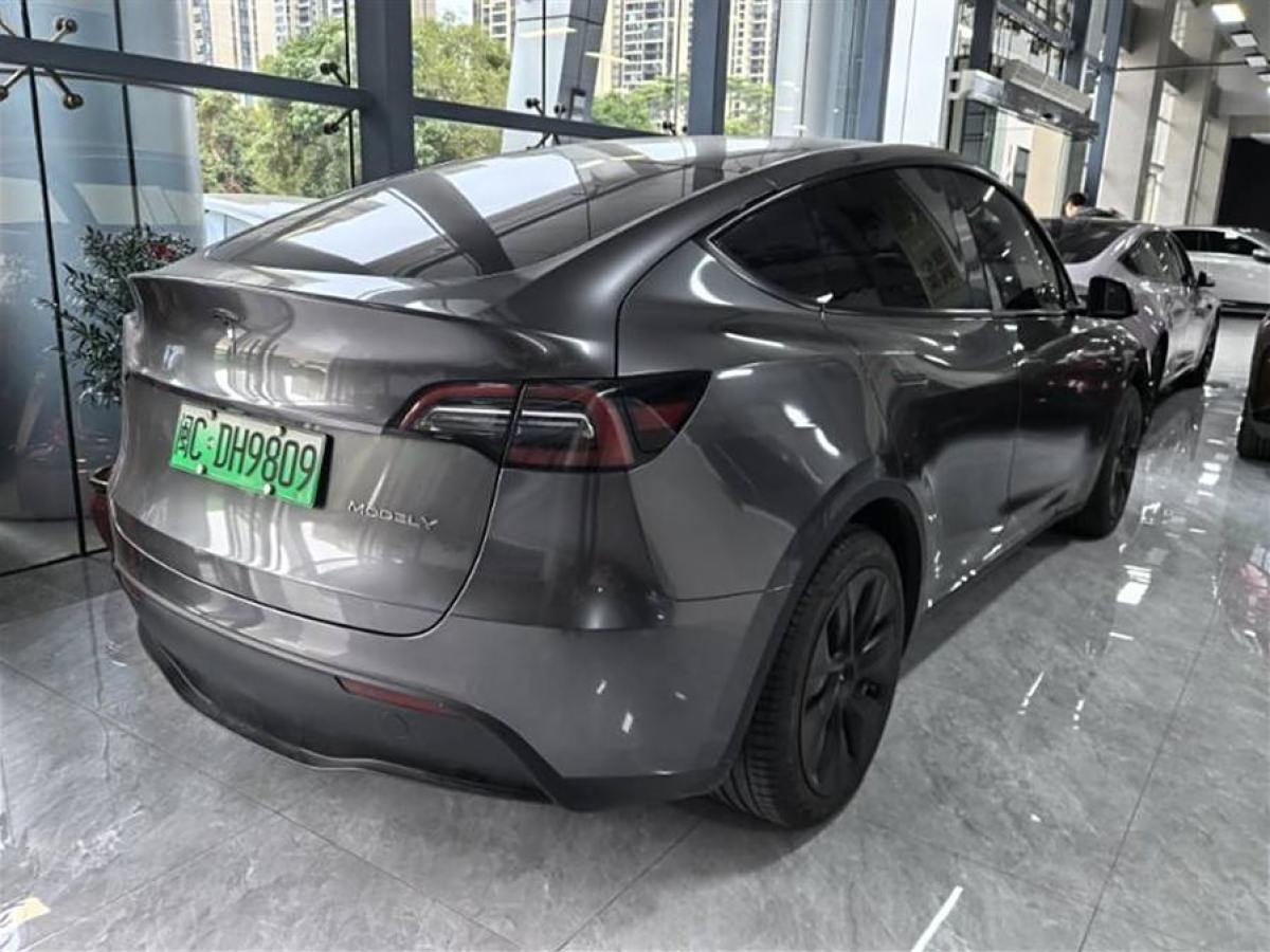 特斯拉 Model 3  2020款 改款 長續(xù)航后輪驅(qū)動版圖片