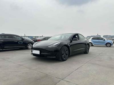 2021年6月 特斯拉 Model Y 改款 后輪驅(qū)動(dòng)版圖片