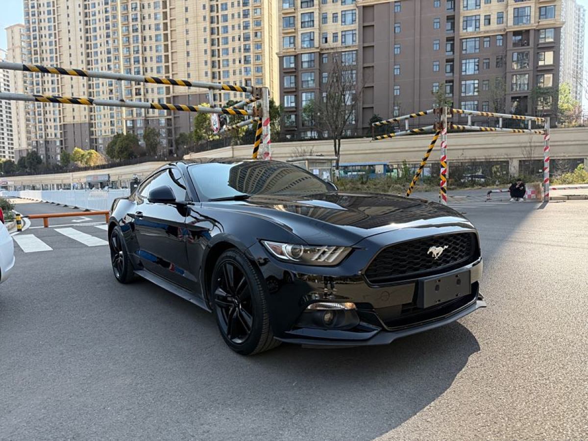 福特 Mustang  2015款 2.3T 性能版圖片