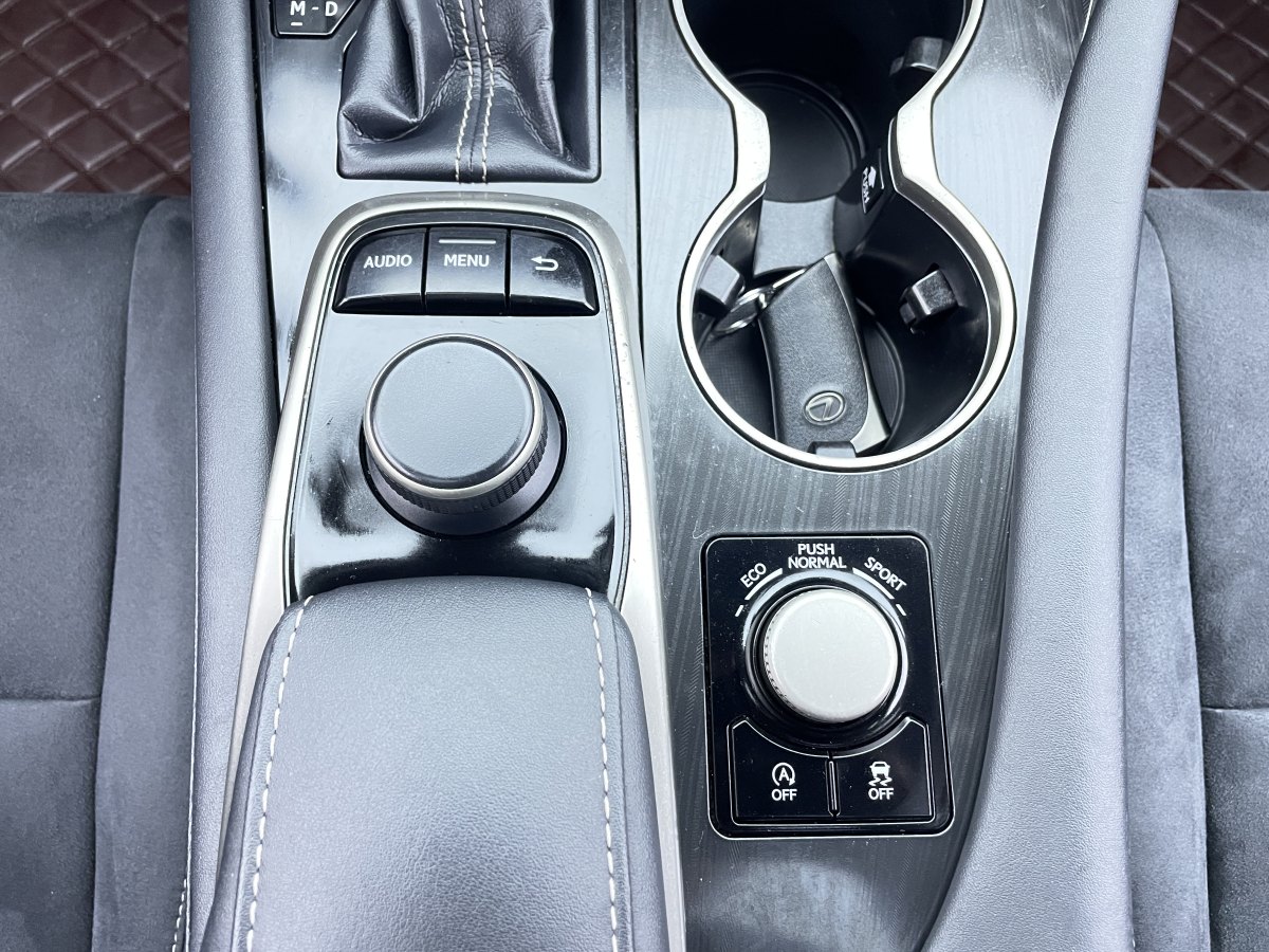 雷克萨斯 RX  2016款 300 两驱精英版 国VI图片