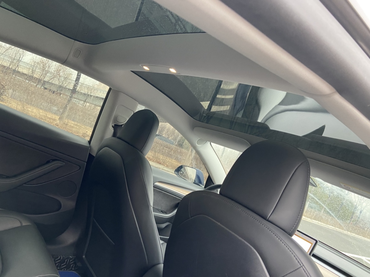 特斯拉 Model 3  2019款 標準續(xù)航后驅(qū)升級版圖片