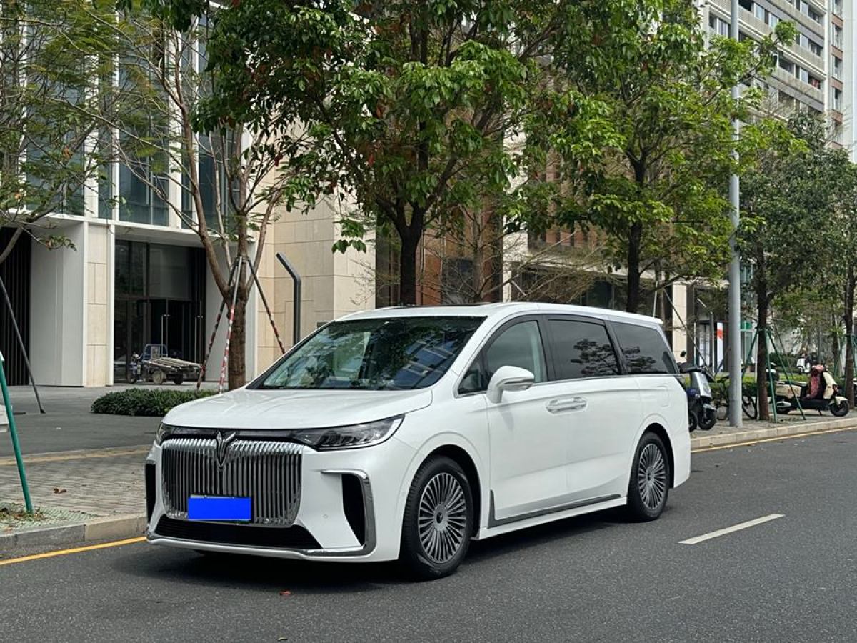 2024年11月嵐圖 夢想家  2025款 PHEV 四驅(qū)旗艦鯤鵬版