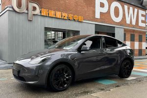 Model Y 特斯拉 長續(xù)航全輪驅(qū)動版 3D7