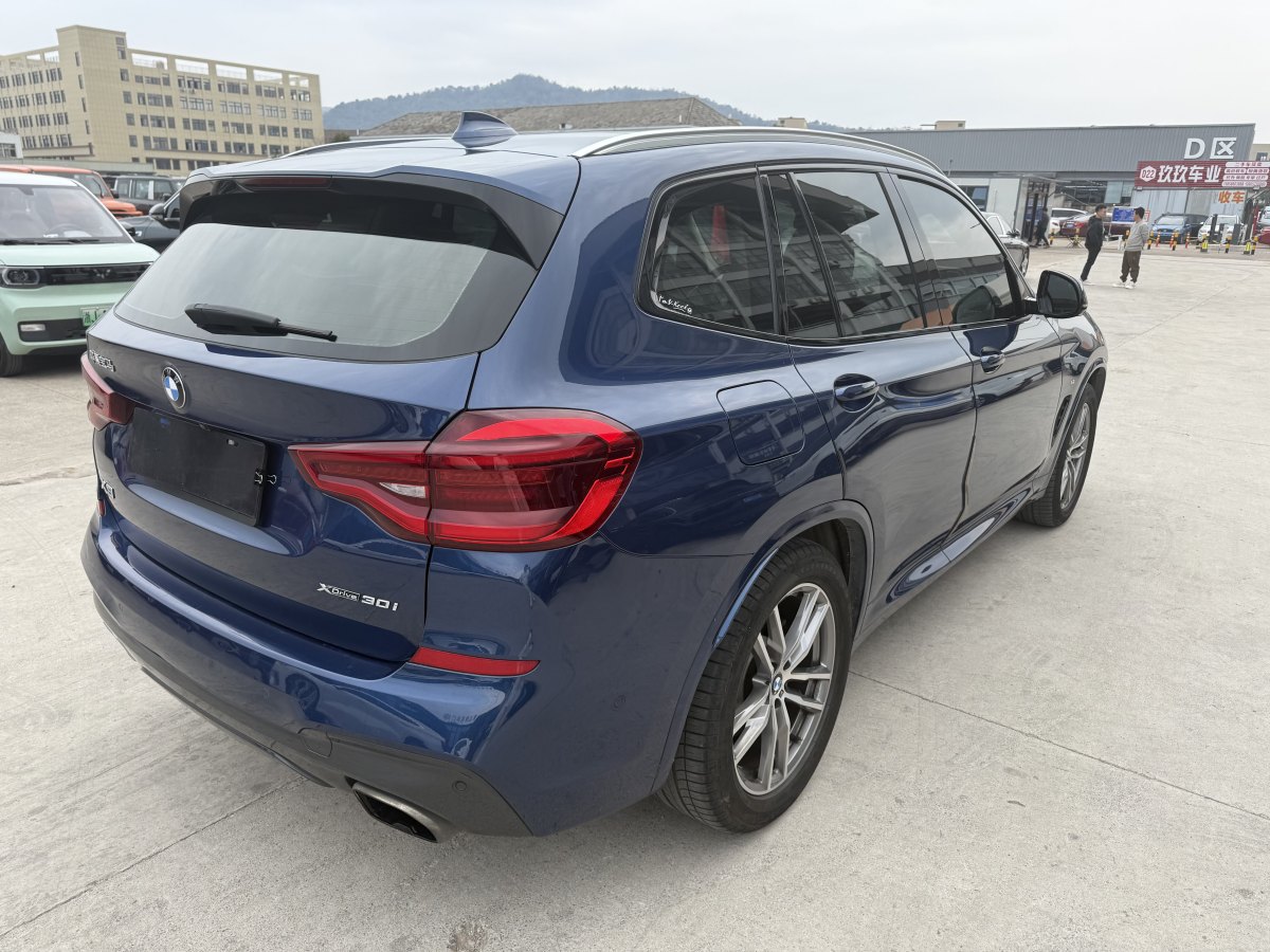 2019年4月寶馬 寶馬X3  2018款 xDrive30i 領(lǐng)先型 M運(yùn)動(dòng)套裝 國VI