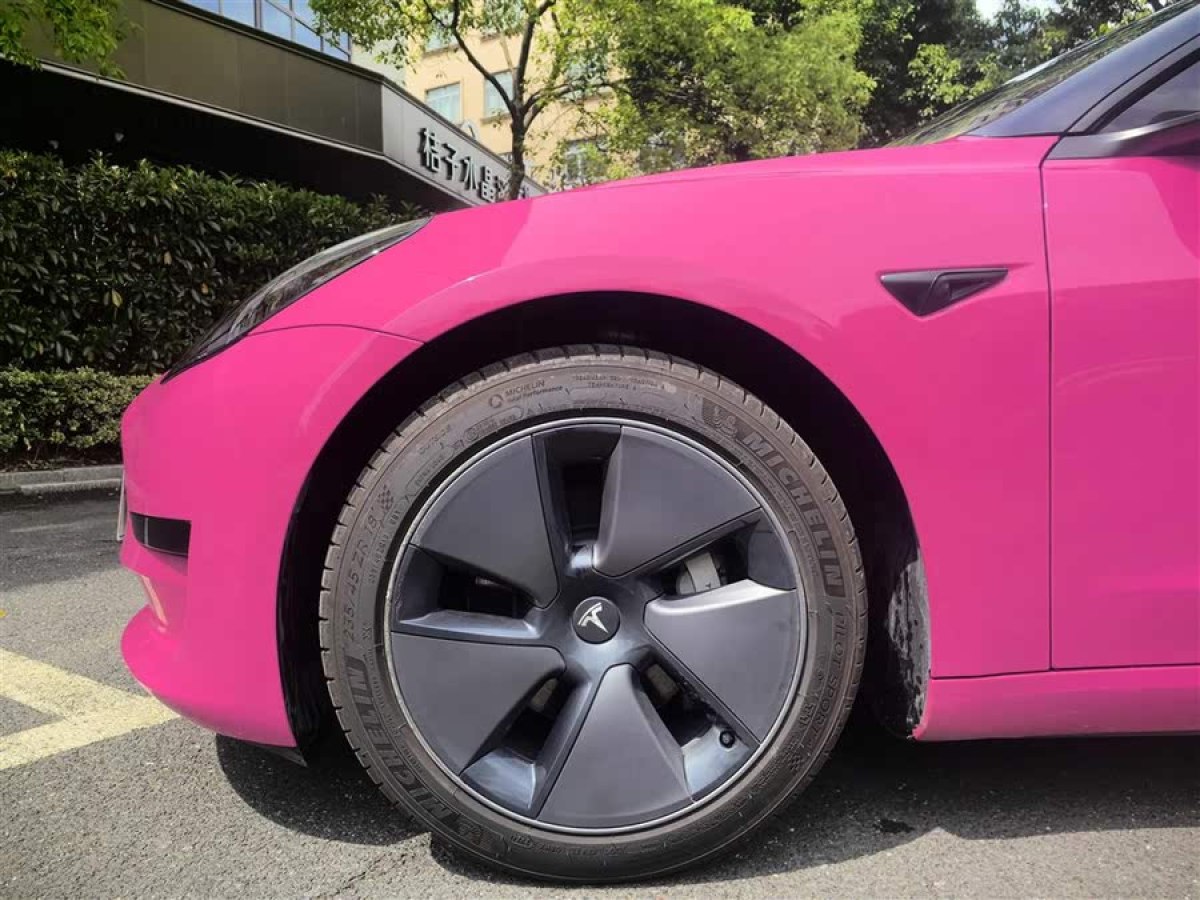 特斯拉 Model 3  2022款 后輪驅(qū)動(dòng)版圖片