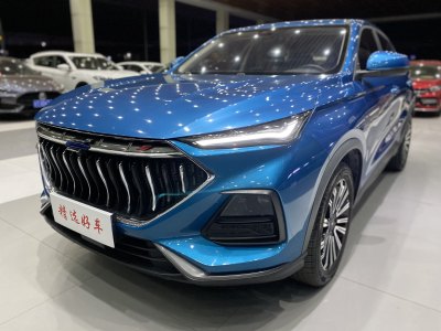 2020年12月 長(zhǎng)安歐尚 長(zhǎng)安歐尚X5 1.5T DCT尊貴型圖片